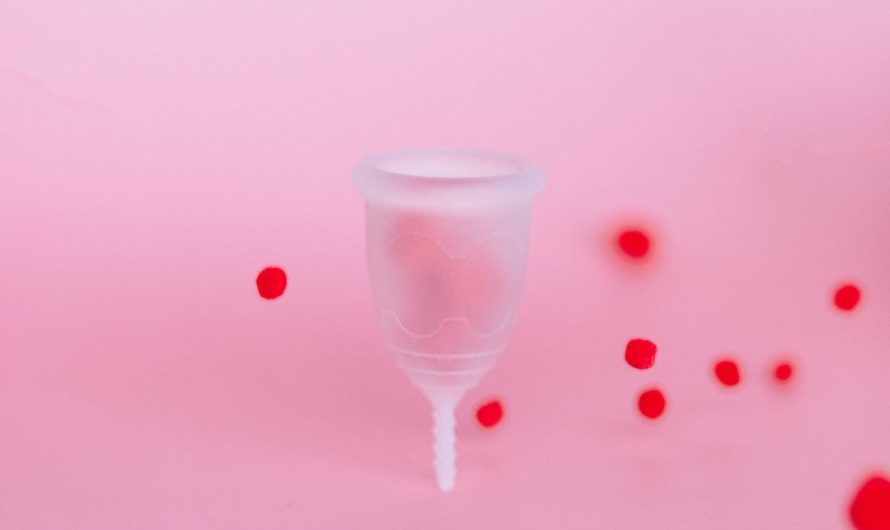 Le guide complet des culottes menstruelles : choix, utilisation et avantages
